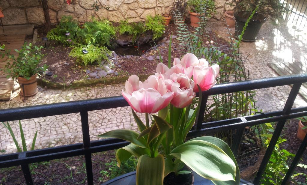 Whatever Art B&B Lisabona Exterior foto